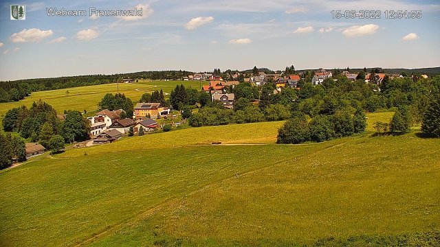 Webcam Frauenwald (Juni)