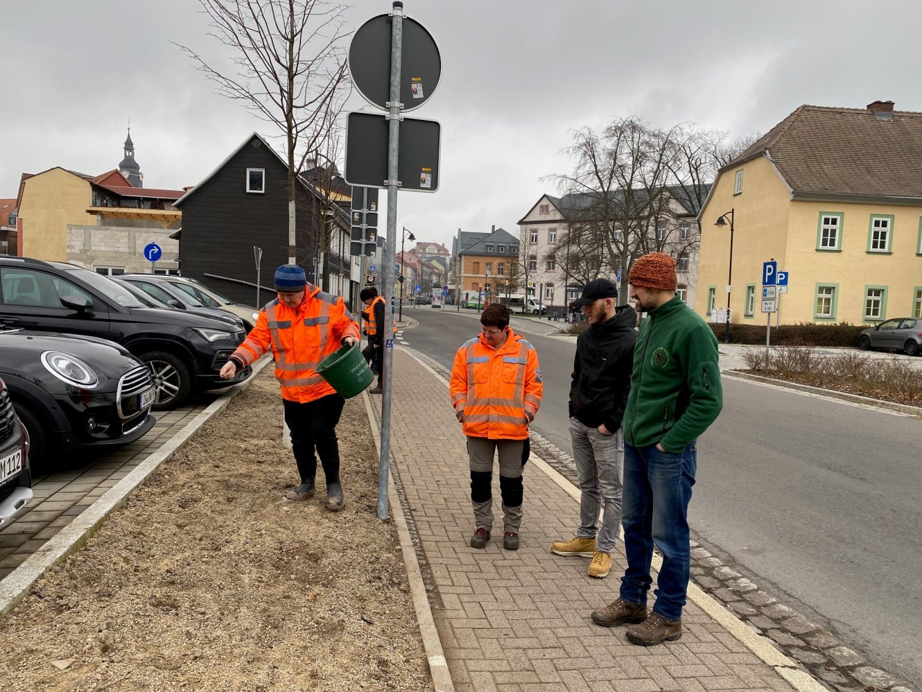 Aussaat von Wildblumenmischungen im Ilmenauer Stadtgebiet sorgt für hohen ökologischen Nutzen 