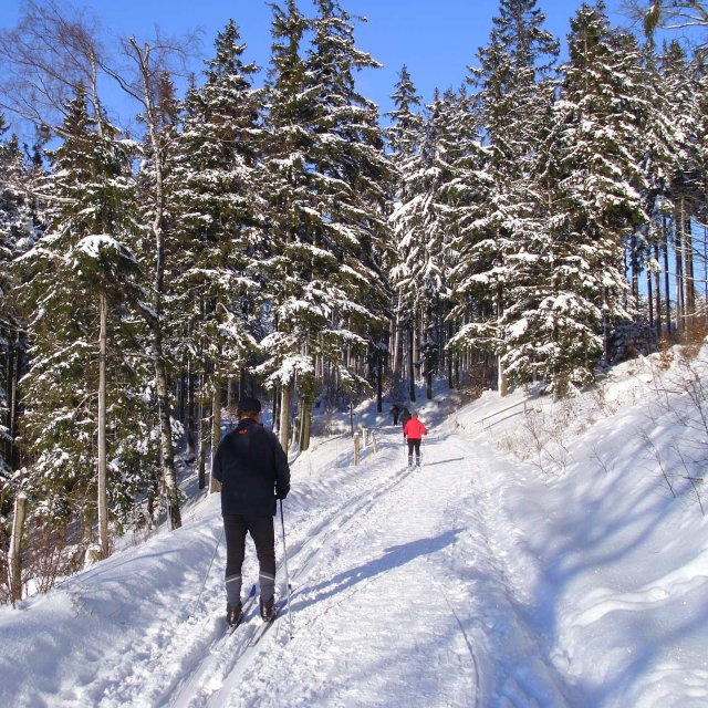 Skitouren Stützerbach