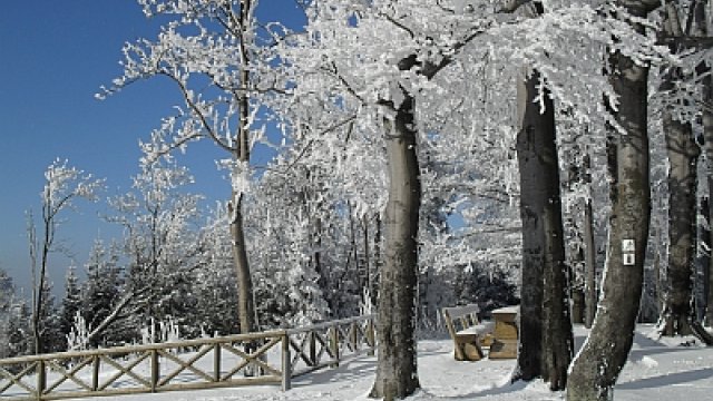 Winter auf dem Kickelhahn