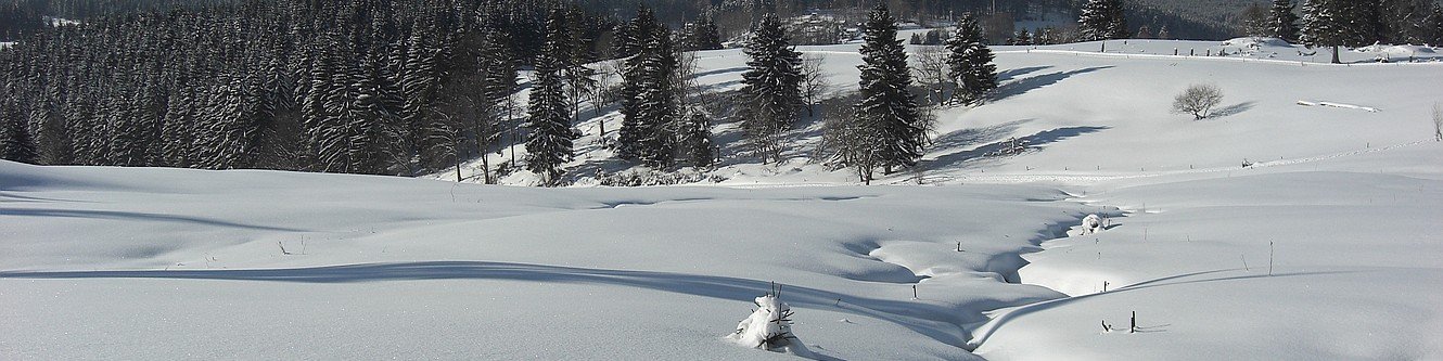 Winter bei Stützerbach