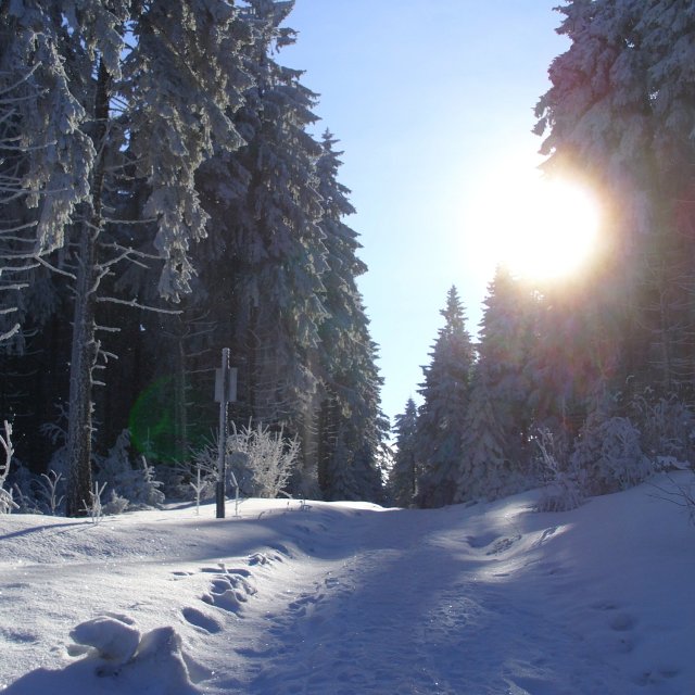 Winterwanderung bei Stützerbach