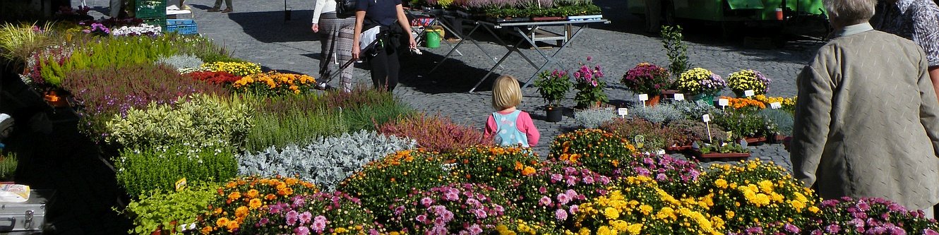 Wochenmarkt auf dem Marktplatz