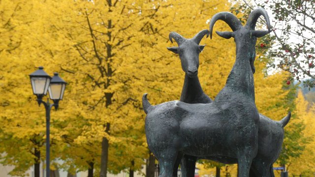 Ziegenbrunnen Herbst Kachelbild ND 2017