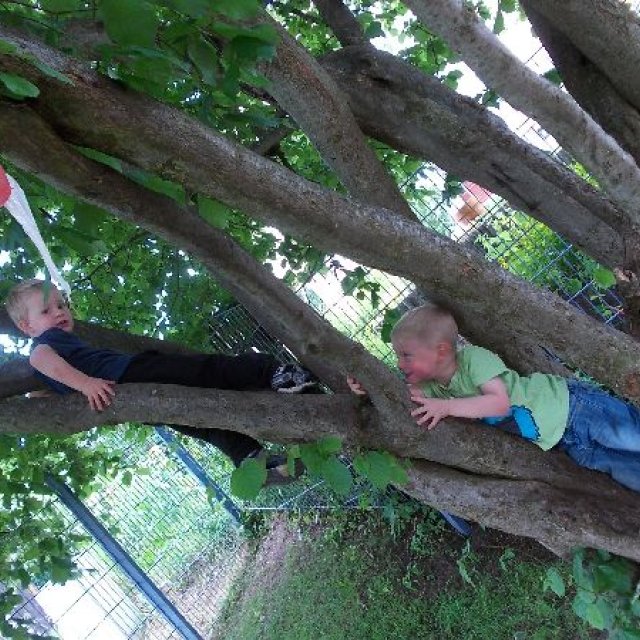 Kindergarten Zwergenland