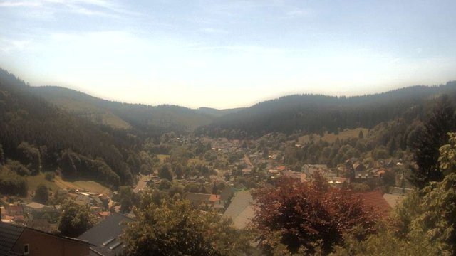 Webcam Manebach - Blick vom oberen Berggrabenweg auf den Ort (Juni)