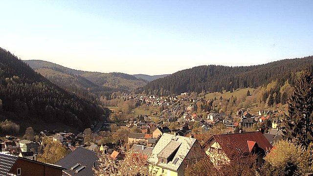 Webcam Manebach - Blick vom oberen Berggrabenweg auf den Ort (April)