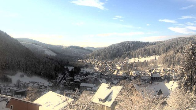 Webcam Manebach - Blick vom oberen Berggrabenweg auf den Ort (Januar)