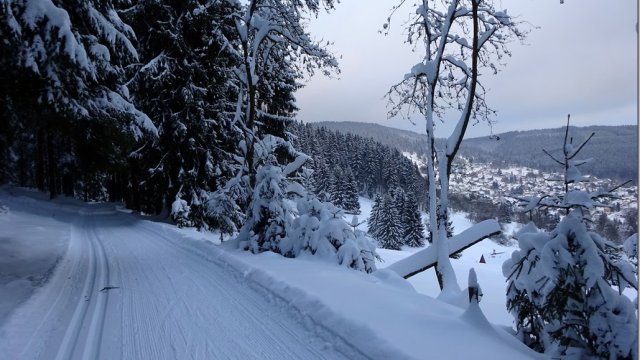 Manebach / Winter auf dem Berggrabenweg