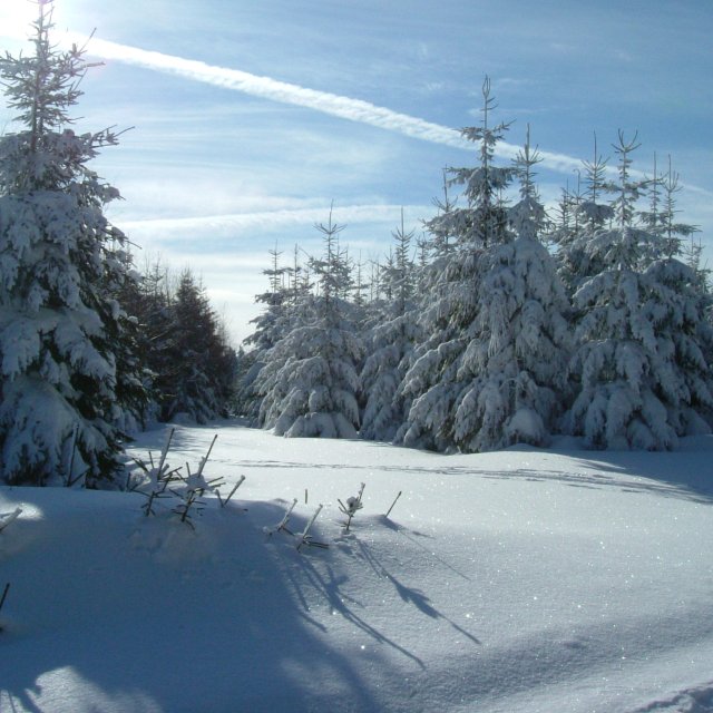 Winter Manebach 4