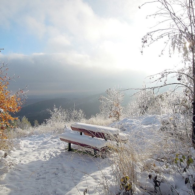 Winterlandschaft auf der Hohen Schlaufe (Foto: Wolfgang Kobe)