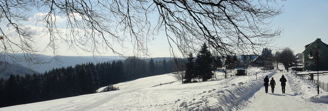 Frauenwald im Winter