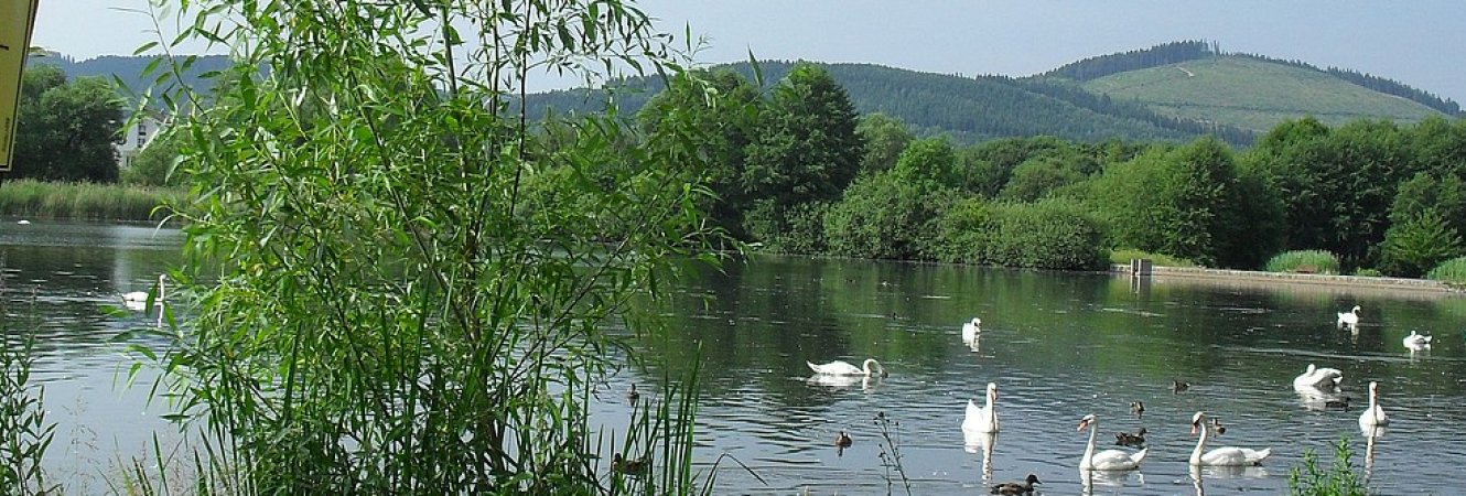 Naturschutzgebiet Großer Teich