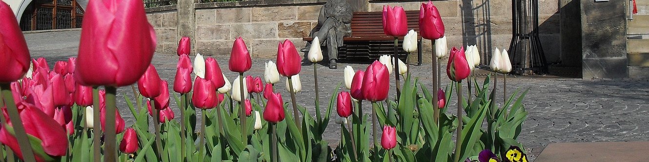 Goethe vorm Amtshaus mit Tulpen