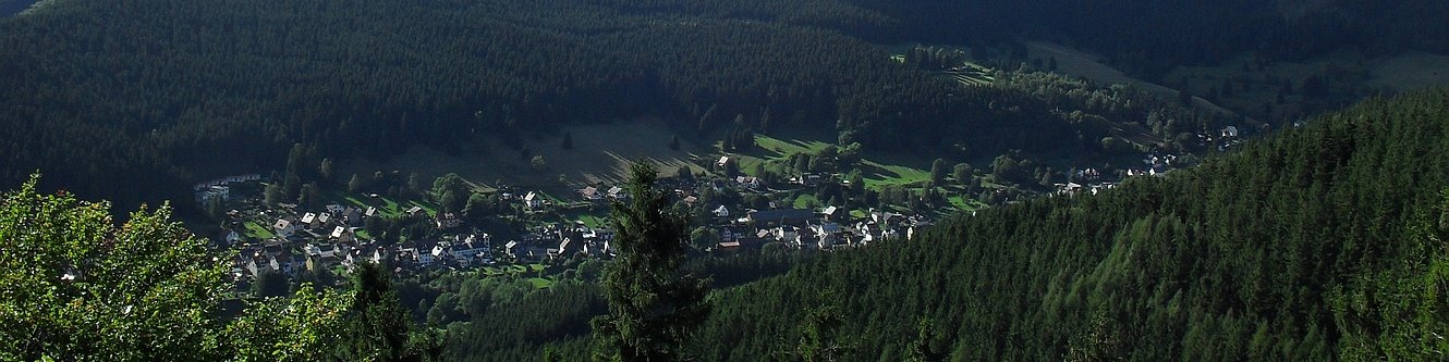 Blick vom Großen Hermannstein auf Manebach