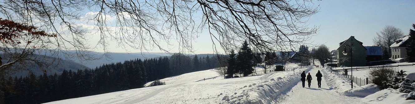 Frauenwald im Winter