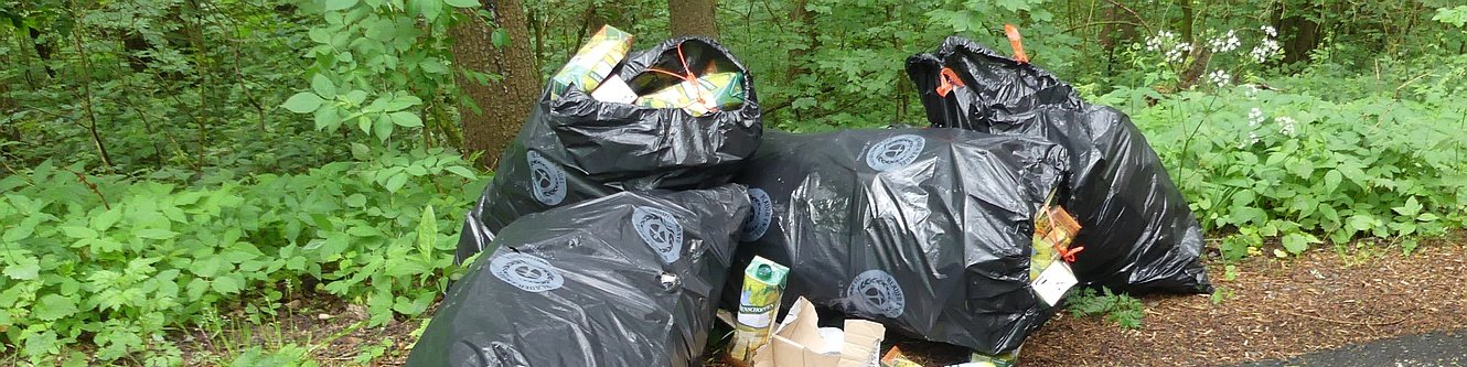 Müllsäcke im Wald