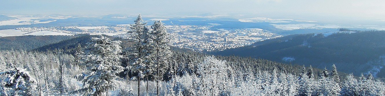Panoramablick auf Ilmenau vom Kickelhahnturm im Winter