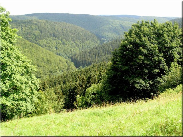FW Schöne Aussicht Frauenwald Felka Talblick