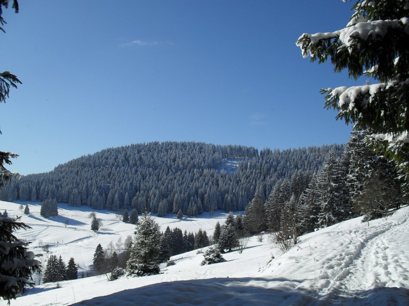 Manebach Panoramaweg im Winter