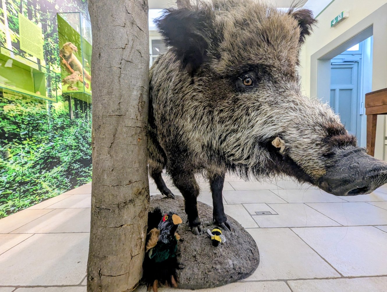 Kicki im Jagdhaus Gabelbach